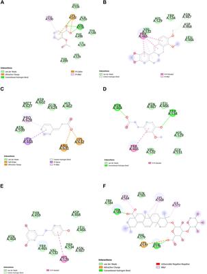 Computational study of SENP1 in cancer by novel natural compounds and ZINC database screening